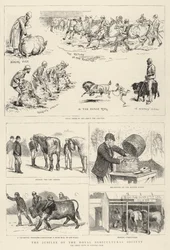The Jubilee of the Royal Agricultural Society
